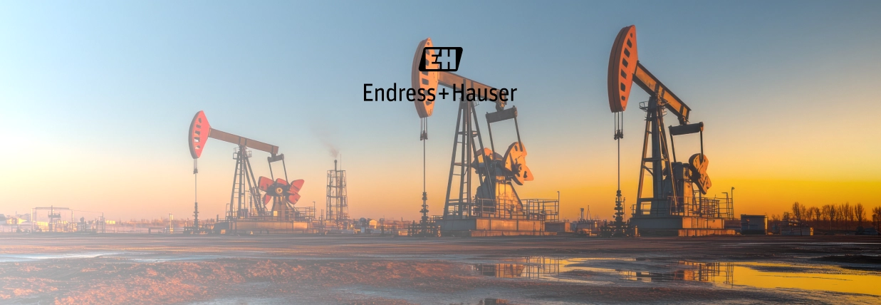 Endress+Hauser