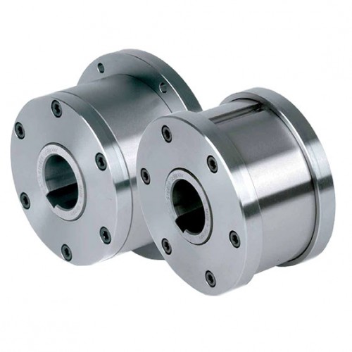 Обгонная муфта Stieber RINZ 30 G5G5
