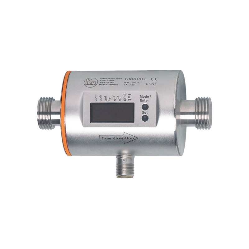 IFM - SM6001